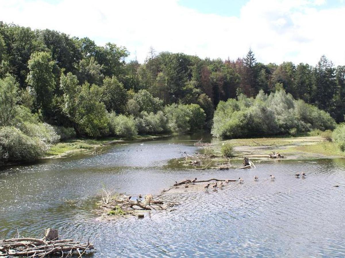 Ferienwohnungen Am Seeufer Moehnesee Exterior photo